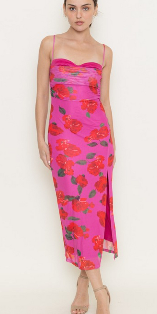 Anita dress