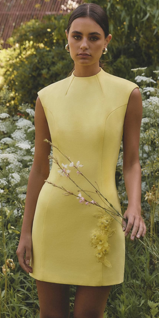 Evee mini dress